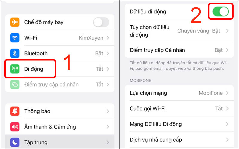 chuyển vùng dữ liệu trên Iphone