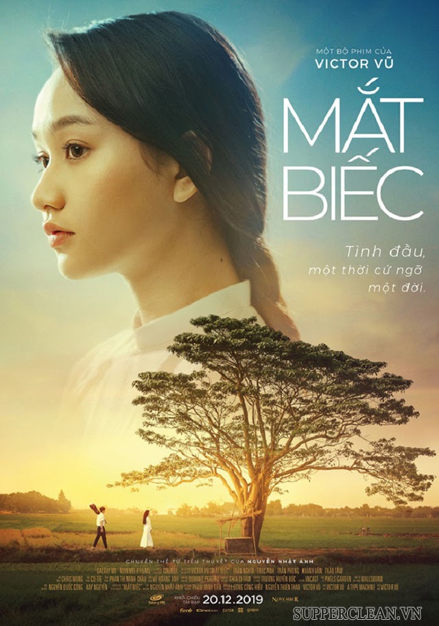 mắt biếc là gì