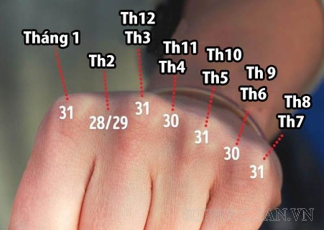 cách tính số ngày trong tháng