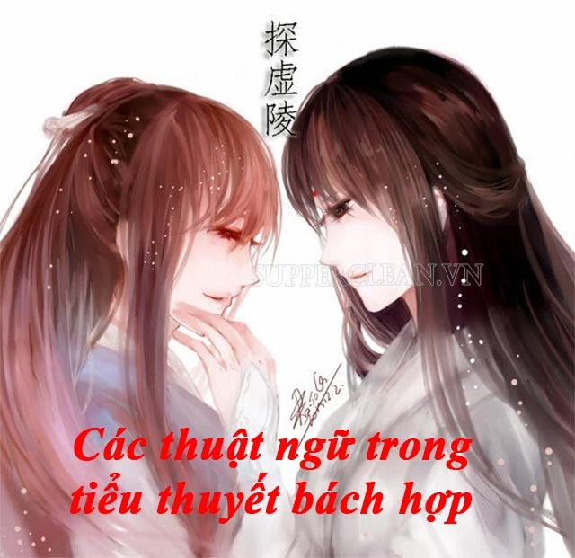 mot-so-thuat-ngu-trong-tieu-thuyet-bach-hop