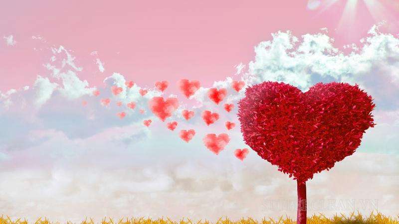 Các từ đồng nghĩa với “my love”